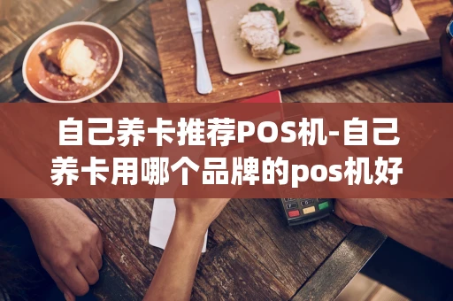 重庆自己养卡推荐POS机-自己养卡用哪个品牌的pos机好-第1张图片-点点富足 重庆自己养卡推荐POS机-自己养卡用哪个品牌的pos机好-第1张图片-点点富足