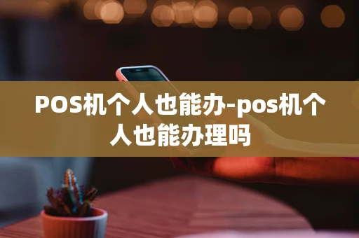 重庆POS机个人也能办-pos机个人也能办理吗-第1张图片-点点富足