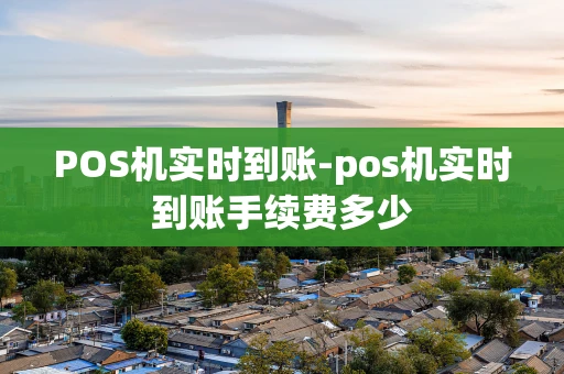 重庆POS机实时到账-pos机实时到账手续费多少-第1张图片-点点富足