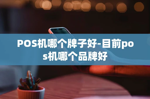 重庆POS机哪个牌子好-目前pos机哪个品牌好-第1张图片-点点富足 重庆POS机哪个牌子好-目前pos机哪个品牌好-第1张图片-点点富足