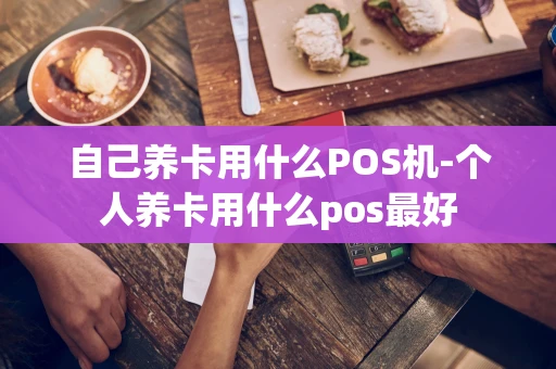 重庆自己养卡用什么POS机-个人养卡用什么pos最好-第1张图片-点点富足 重庆自己养卡用什么POS机-个人养卡用什么pos最好-第1张图片-点点富足