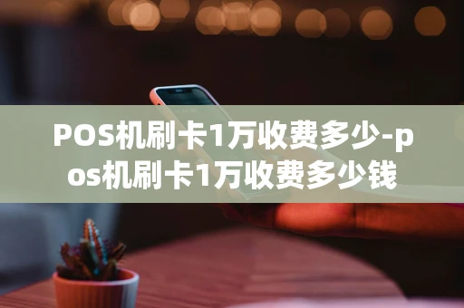 重庆POS机刷卡1万收费多少-pos机刷卡1万收费多少钱-第1张图片-点点富足 重庆POS机刷卡1万收费多少-pos机刷卡1万收费多少钱-第1张图片-点点富足