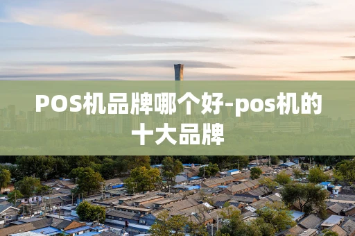 重庆POS机品牌哪个好-pos机的十大品牌-第1张图片-点点富足 重庆POS机品牌哪个好-pos机的十大品牌-第1张图片-点点富足