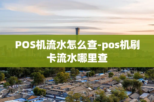 重庆POS机流水怎么查-pos机刷卡流水哪里查-第1张图片-点点富足 重庆POS机流水怎么查-pos机刷卡流水哪里查-第1张图片-点点富足