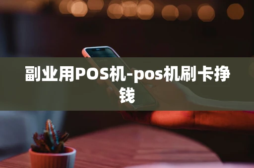 重庆副业用POS机-pos机刷卡挣钱-第1张图片-点点富足 重庆副业用POS机-pos机刷卡挣钱-第1张图片-点点富足