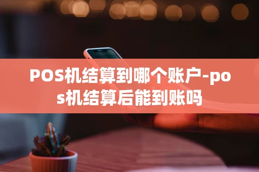 重庆POS机结算到哪个账户-pos机结算后能到账吗-第1张图片-点点富足 重庆POS机结算到哪个账户-pos机结算后能到账吗-第1张图片-点点富足
