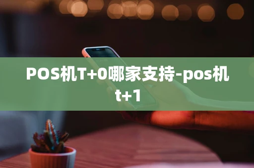 重庆POS机T+0哪家支持-pos机t+1-第1张图片-点点富足