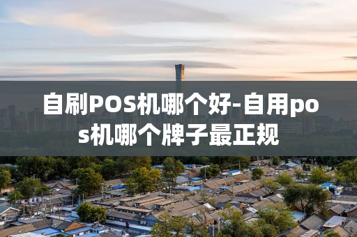 重庆自刷POS机哪个好-自用pos机哪个牌子最正规-第1张图片-点点富足 重庆自刷POS机哪个好-自用pos机哪个牌子最正规-第1张图片-点点富足