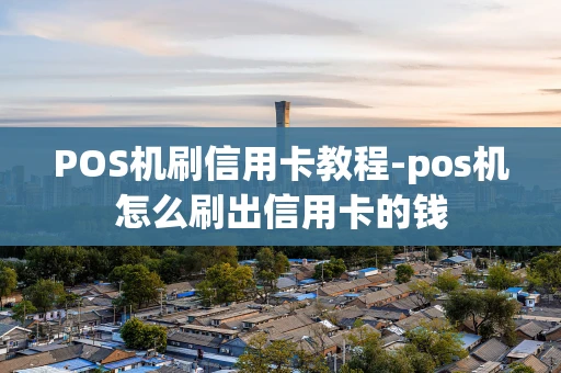 重庆POS机刷信用卡教程-pos机怎么刷出信用卡的钱-第1张图片-点点富足