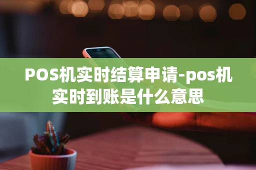 重庆POS机实时结算申请-pos机实时到账是什么意思-第1张图片-点点富足