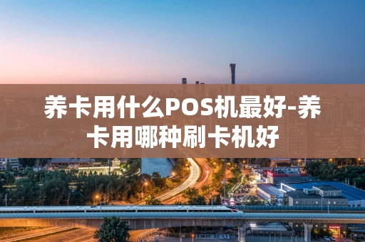 海口市养卡用什么POS机最好-养卡用哪种刷卡机好-第1张图片-点点富足