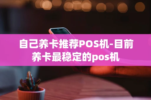 重庆自己养卡推荐POS机-目前养卡最稳定的pos机-第1张图片-点点富足 重庆自己养卡推荐POS机-目前养卡最稳定的pos机-第1张图片-点点富足
