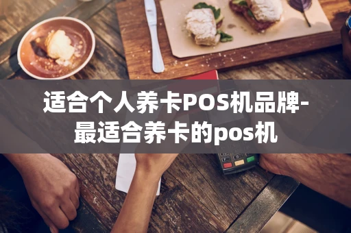重庆适合个人养卡POS机品牌-最适合养卡的pos机-第1张图片-点点富足