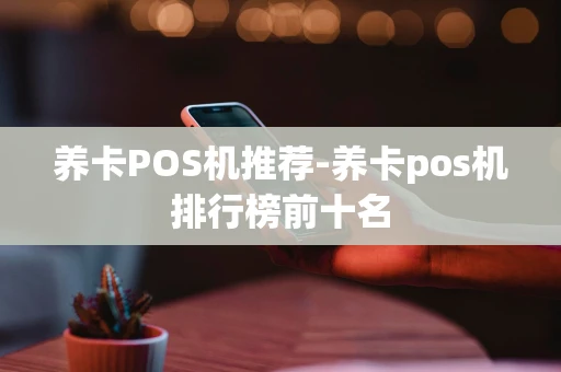 重庆养卡POS机推荐-养卡pos机排行榜前十名-第1张图片-点点富足