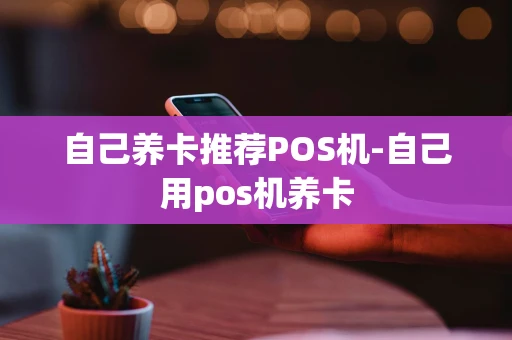 重庆自己养卡推荐POS机-自己用pos机养卡-第1张图片-点点富足 重庆自己养卡推荐POS机-自己用pos机养卡-第1张图片-点点富足