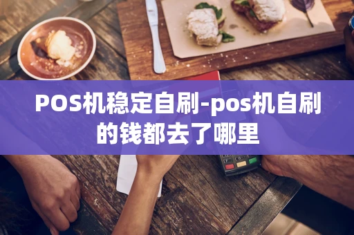 重庆POS机稳定自刷-pos机自刷的钱都去了哪里-第1张图片-点点富足
