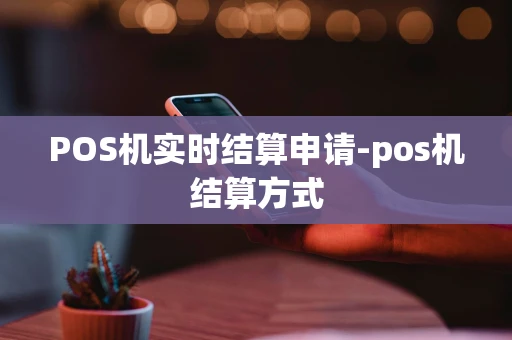 重庆POS机实时结算申请-pos机结算方式-第1张图片-点点富足