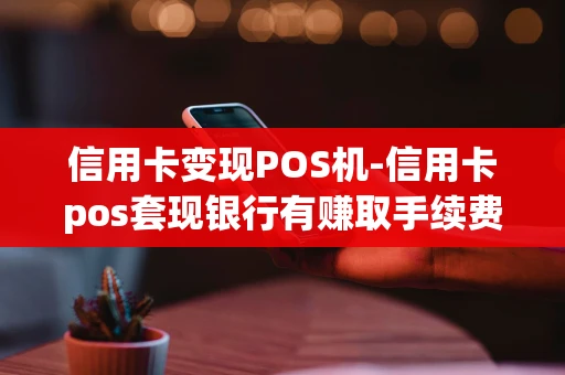 重庆信用卡变现POS机-信用卡pos套现银行有赚取手续费吗-第1张图片-点点富足