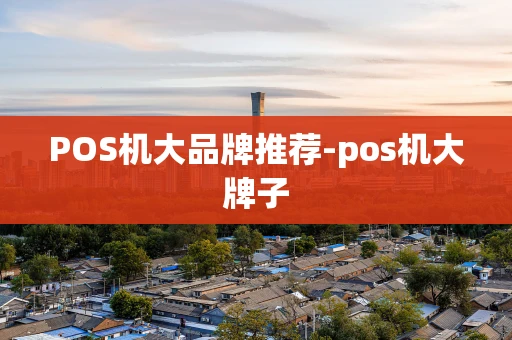 重庆POS机大品牌推荐-pos机大牌子-第1张图片-点点富足