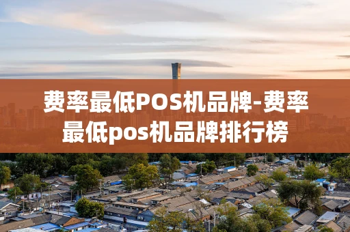 重庆费率最低POS机品牌-费率最低pos机品牌排行榜-第1张图片-点点富足