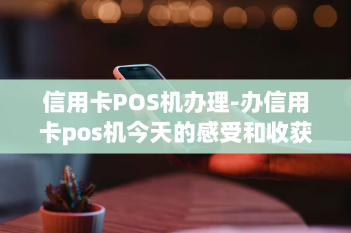 重庆信用卡POS机办理-办信用卡pos机今天的感受和收获是什么-第1张图片-点点富足