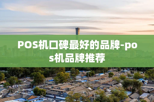 重庆POS机口碑最好的品牌-pos机品牌推荐-第1张图片-点点富足