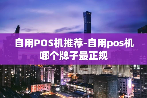 重庆自用POS机推荐-自用pos机哪个牌子最正规-第1张图片-点点富足