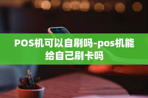 重庆POS机可以自刷吗-pos机能给自己刷卡吗-第1张图片-点点富足