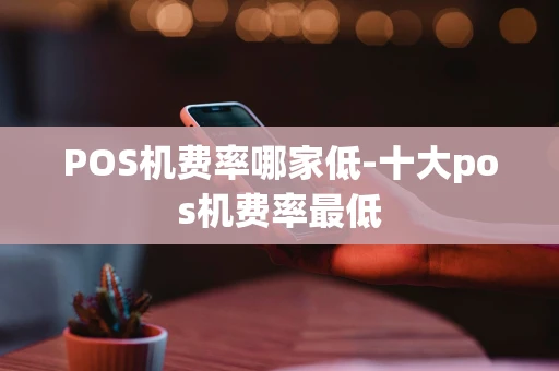 重庆POS机费率哪家低-十大pos机费率最低-第1张图片-点点富足