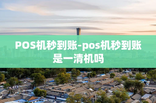 重庆POS机秒到账-pos机秒到账是一清机吗-第1张图片-点点富足 重庆POS机秒到账-pos机秒到账是一清机吗-第1张图片-点点富足