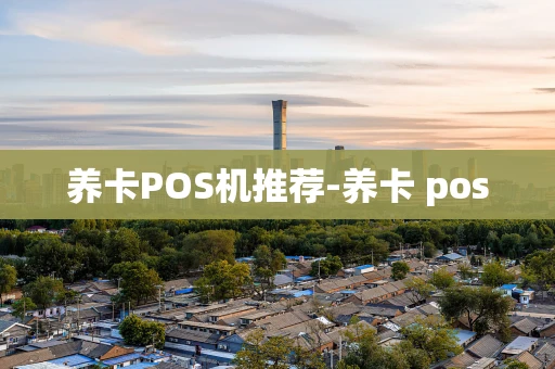 重庆养卡POS机推荐-养卡 pos-第1张图片-点点富足 重庆养卡POS机推荐-养卡 pos-第1张图片-点点富足