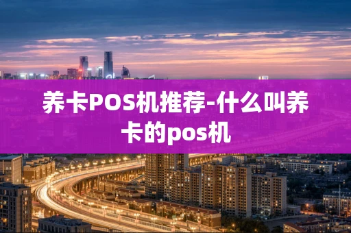 重庆养卡POS机推荐-什么叫养卡的pos机-第1张图片-点点富足 重庆养卡POS机推荐-什么叫养卡的pos机-第1张图片-点点富足