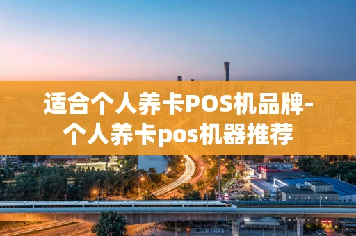 重庆适合个人养卡POS机品牌-个人养卡pos机器推荐-第1张图片-点点富足