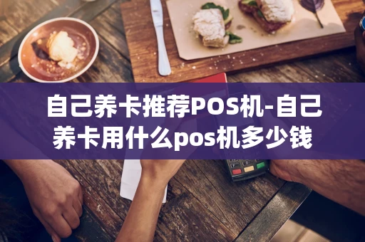 重庆自己养卡推荐POS机-自己养卡用什么pos机多少钱-第1张图片-点点富足 重庆自己养卡推荐POS机-自己养卡用什么pos机多少钱-第1张图片-点点富足