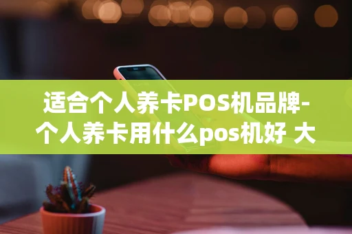 重庆适合个人养卡POS机品牌-个人养卡用什么pos机好 大的小的-第1张图片-点点富足