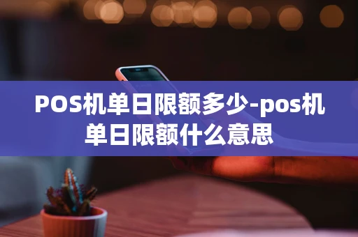 重庆POS机单日限额多少-pos机单日限额什么意思-第1张图片-点点富足
