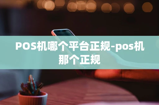 重庆POS机哪个平台正规-pos机那个正规-第1张图片-点点富足 重庆POS机哪个平台正规-pos机那个正规-第1张图片-点点富足