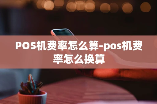 重庆POS机费率怎么算-pos机费率怎么换算-第1张图片-点点富足