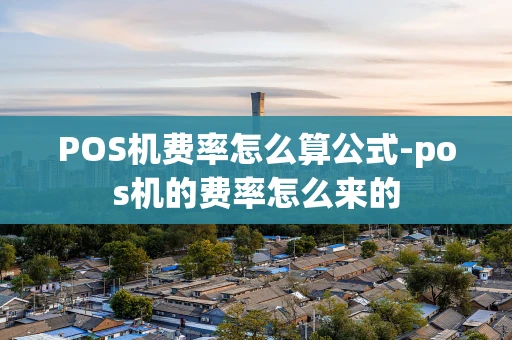 重庆POS机费率怎么算公式-pos机的费率怎么来的-第1张图片-点点富足 重庆POS机费率怎么算公式-pos机的费率怎么来的-第1张图片-点点富足