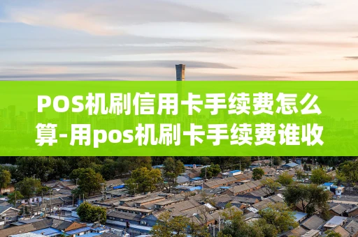 重庆POS机刷信用卡手续费怎么算-用pos机刷卡手续费谁收取?-第1张图片-点点富足