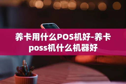 重庆养卡用什么POS机好-养卡poss机什么机器好-第1张图片-点点富足 重庆养卡用什么POS机好-养卡poss机什么机器好-第1张图片-点点富足