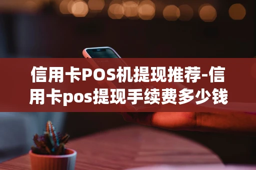 重庆信用卡POS机提现推荐-信用卡pos提现手续费多少钱-第1张图片-点点富足 重庆信用卡POS机提现推荐-信用卡pos提现手续费多少钱-第1张图片-点点富足