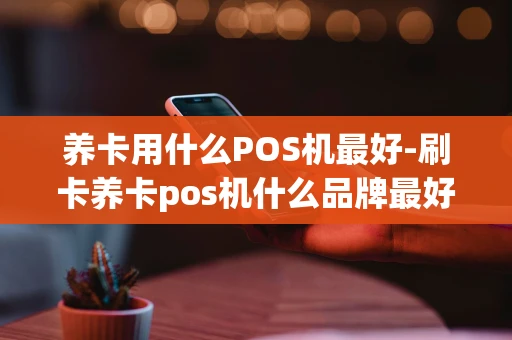 重庆养卡用什么POS机最好-刷卡养卡pos机什么品牌最好-第1张图片-点点富足 重庆养卡用什么POS机最好-刷卡养卡pos机什么品牌最好-第1张图片-点点富足