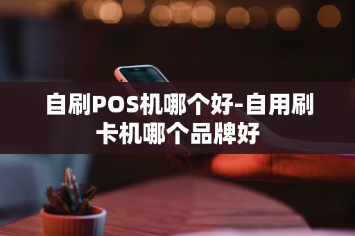 重庆自刷POS机哪个好-自用刷卡机哪个品牌好-第1张图片-点点富足