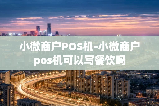 重庆小微商户POS机-小微商户pos机可以写餐饮吗-第1张图片-点点富足