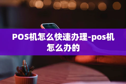 重庆POS机怎么快速办理-pos机怎么办的-第1张图片-点点富足