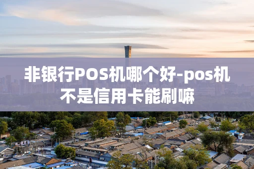 重庆非银行POS机哪个好-pos机不是信用卡能刷嘛-第1张图片-点点富足 重庆非银行POS机哪个好-pos机不是信用卡能刷嘛-第1张图片-点点富足