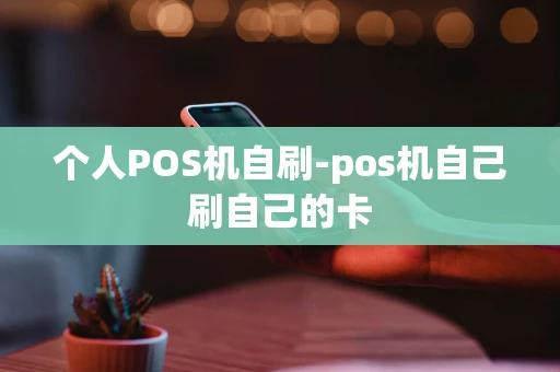 重庆个人POS机自刷-pos机自己刷自己的卡-第1张图片-点点富足
