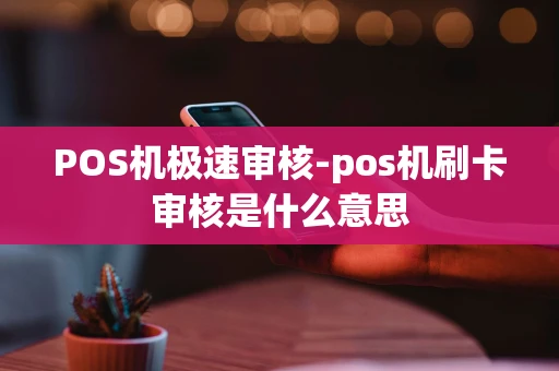 重庆POS机极速审核-pos机刷卡审核是什么意思-第1张图片-点点富足 重庆POS机极速审核-pos机刷卡审核是什么意思-第1张图片-点点富足