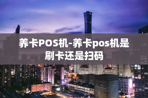 重庆养卡POS机-养卡pos机是刷卡还是扫码-第1张图片-点点富足 重庆养卡POS机-养卡pos机是刷卡还是扫码-第1张图片-点点富足